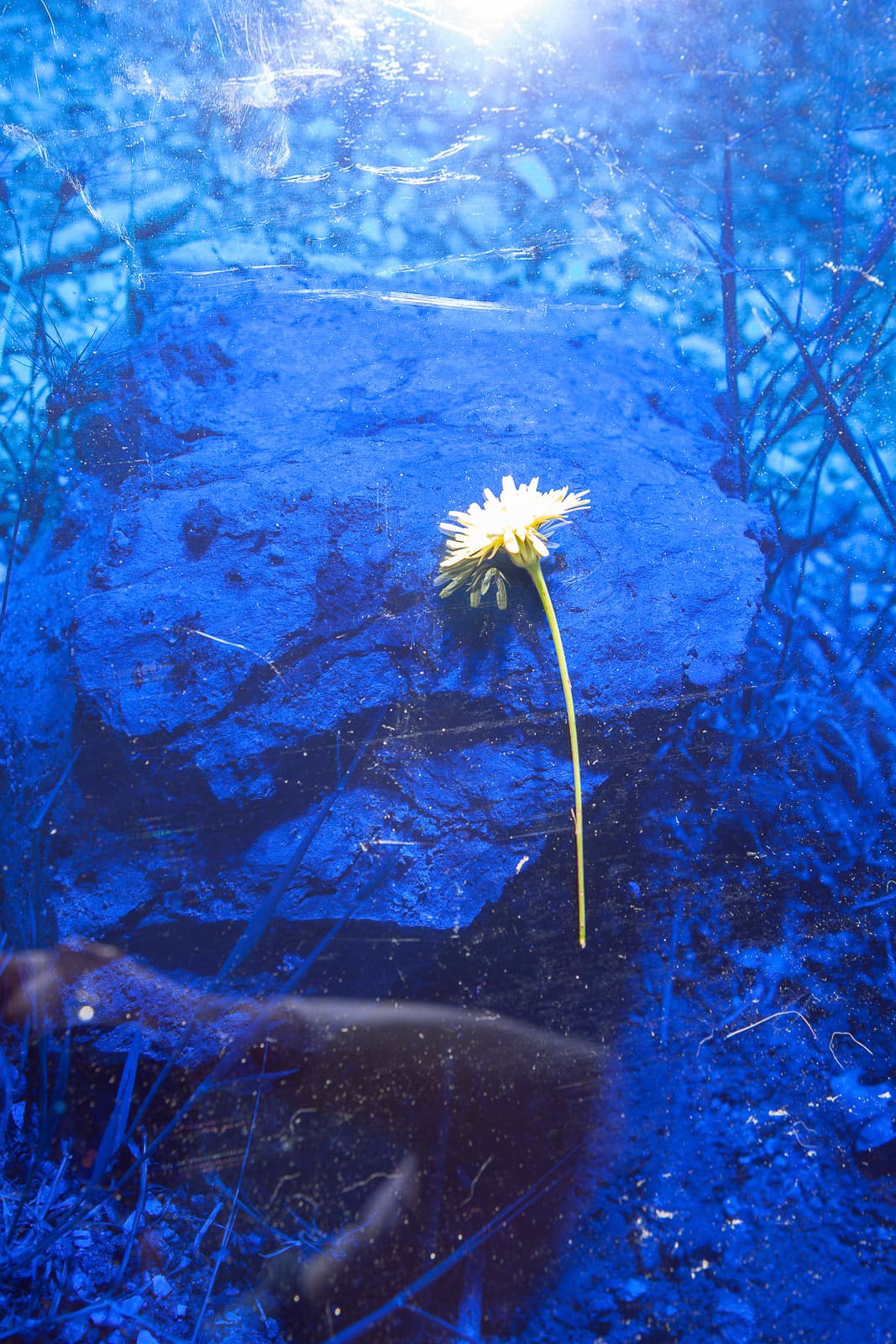 09